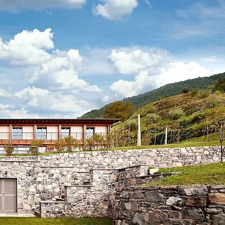 Caffe Maya مازلِيانيكو