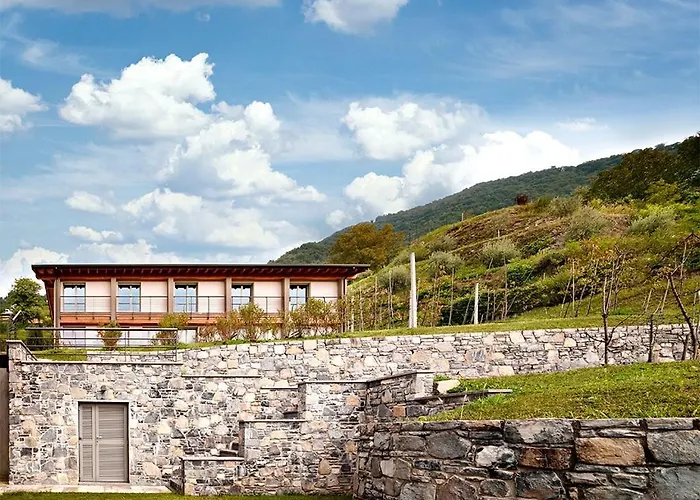 Caffe Maya Maslianico