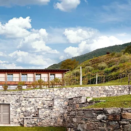 Caffe Maya Maslianico